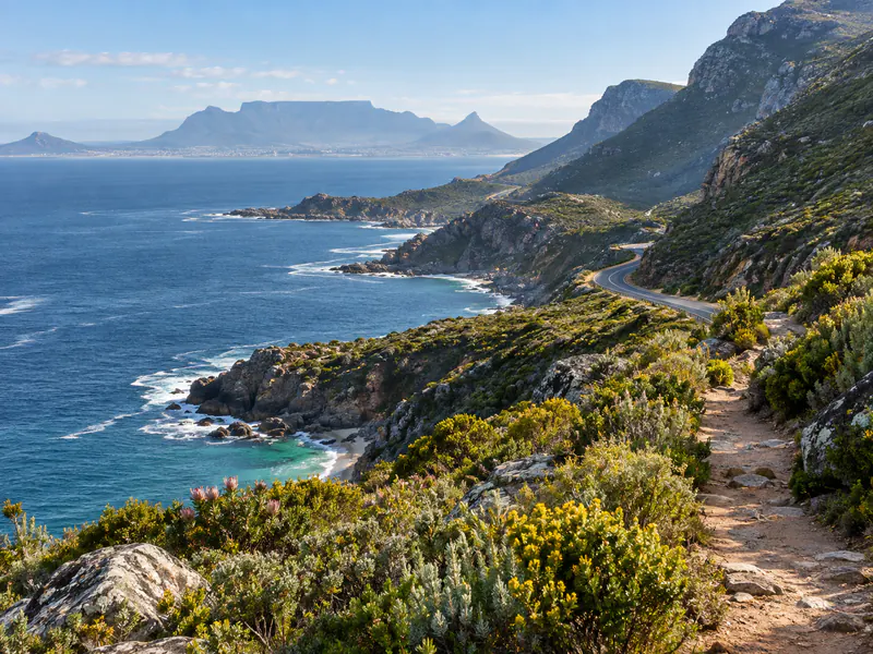 Route littorale et fynbos sur la péninsule du Cap en Afrique du Sud
