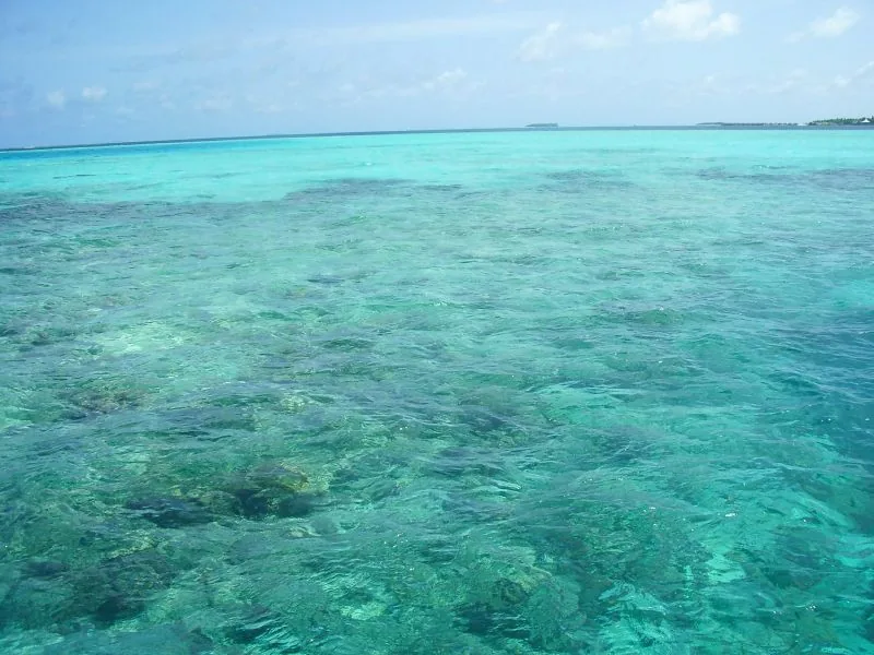 Eaux turquoise des Maldives
